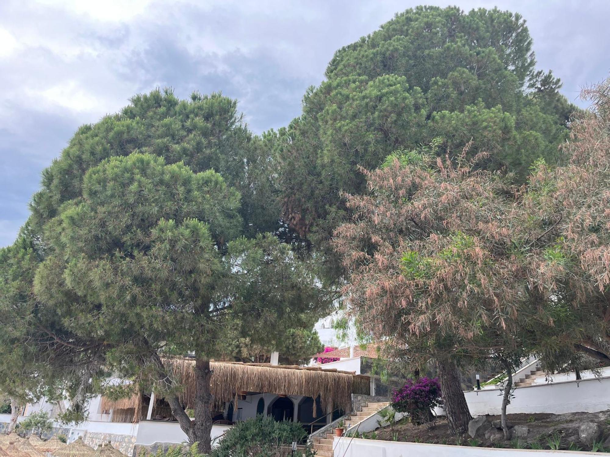 Holiday Inn Resort Bodrum By Ihg מראה חיצוני תמונה